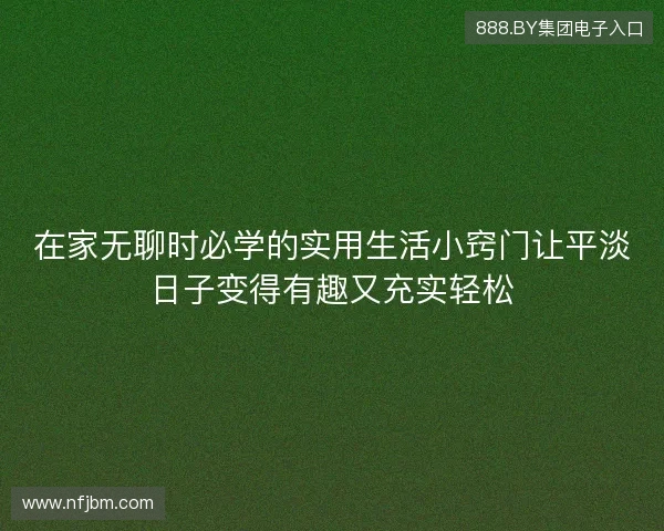 在家无聊时必学的实用生活小窍门让平淡日子变得有趣又充实轻松